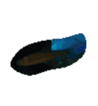 亀 熱帯魚 カエル クラゲ 珊瑚礁 写真 カモ（個別スタンプ：14）