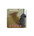 ぱぴちゃん♡♡（個別スタンプ：3）