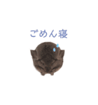 アンゴラチンチラ ちびまるくん（個別スタンプ：18）