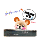 虎太郎4段！（個別スタンプ：3）