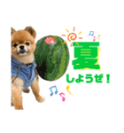 虎太郎4段！（個別スタンプ：16）