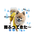 虎太郎4段！（個別スタンプ：21）
