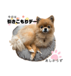 虎太郎4段！（個別スタンプ：22）