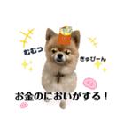 虎太郎4段！（個別スタンプ：23）