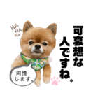 虎太郎4段！（個別スタンプ：26）