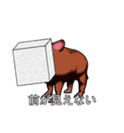 毎日食べたいブドウ糖スタンプ（個別スタンプ：30）