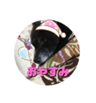 可愛い☆チョコちゃんスタンプ（個別スタンプ：9）
