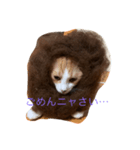 コハクムギ3（個別スタンプ：1）