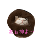 コハクムギ3（個別スタンプ：8）