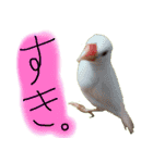 うさぎのこまちゃん。（個別スタンプ：9）