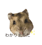 healing hamster sticker.（個別スタンプ：2）