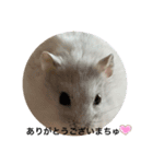 healing hamster sticker.（個別スタンプ：3）