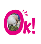 takahashi_20190922004737（個別スタンプ：5）