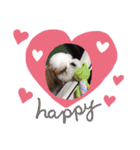 takahashi_20190922004737（個別スタンプ：6）