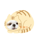 takahashi_20190922004737（個別スタンプ：20）