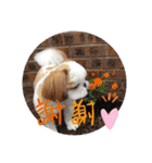 takahashi_20190922004737（個別スタンプ：24）