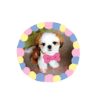 takahashi_20190922004737（個別スタンプ：26）