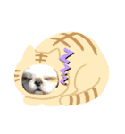 takahashi_20190922004737（個別スタンプ：27）