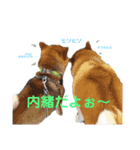 ポン太＆そら（個別スタンプ：1）