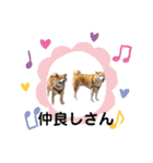ポン太＆そら（個別スタンプ：15）