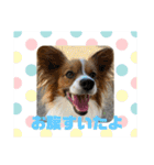若蘭スタンプ（個別スタンプ：8）