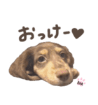 ROAちゃんの毎日スタンプ♪♪（個別スタンプ：1）