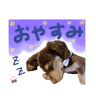 ROAちゃんの毎日スタンプ♪♪（個別スタンプ：5）