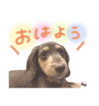 ROAちゃんの毎日スタンプ♪♪（個別スタンプ：8）