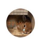 Mumu ちゃん（個別スタンプ：1）