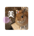 Mumu ちゃん（個別スタンプ：2）