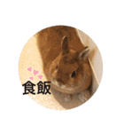 Mumu ちゃん（個別スタンプ：4）