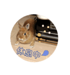 Mumu ちゃん（個別スタンプ：6）