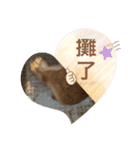 Mumu ちゃん（個別スタンプ：7）