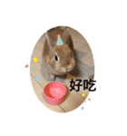 Mumu ちゃん（個別スタンプ：10）