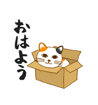 なんだかんだと和風ねこ（個別スタンプ：1）