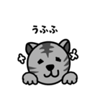 猫のみゃお（個別スタンプ：2）