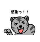 猫のみゃお（個別スタンプ：11）
