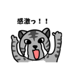 猫のみゃお（個別スタンプ：12）
