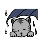 猫のみゃお（個別スタンプ：17）