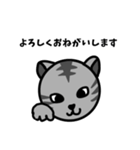猫のみゃお（個別スタンプ：24）