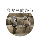 海の生き物♡（個別スタンプ：2）