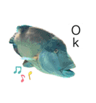 海の生き物♡（個別スタンプ：3）