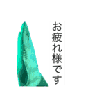海の生き物♡（個別スタンプ：6）
