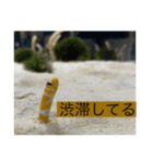 海の生き物♡（個別スタンプ：7）