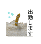 海の生き物♡（個別スタンプ：9）