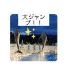 海の生き物♡（個別スタンプ：10）