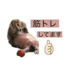 海の生き物♡（個別スタンプ：13）