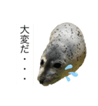 海の生き物♡（個別スタンプ：14）
