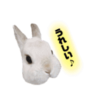 だいふくくん3（個別スタンプ：2）