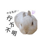 だいふくくん3（個別スタンプ：3）